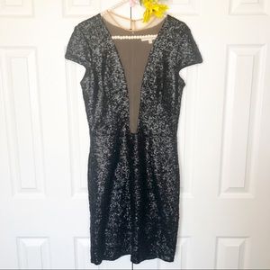 Dress the Population Sheer Plunging Sequin Dress